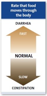 Представете си как храната се движи през тялото