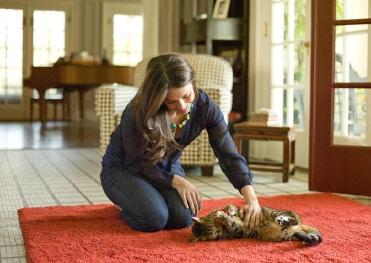 Woman playing with cat
