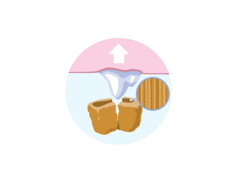 храната за домашни любимци премахва натрупването на зъбите илюстрация