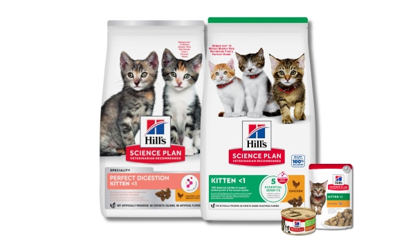 Three bags of Hill's Science Plan dry and wet kitten food