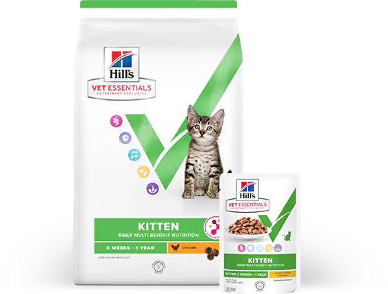 One bag of Hill's Vet Essentials Multi-Benefit dry and wet kitten food