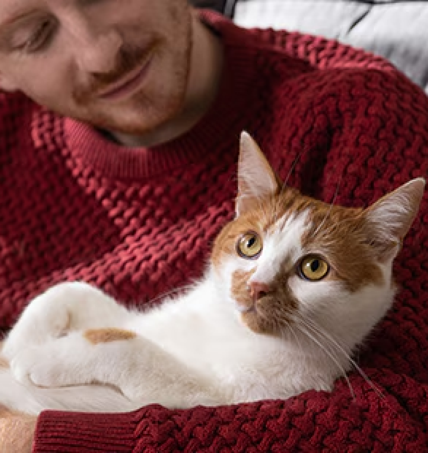 Жена с оранжева блуза и рижа котка