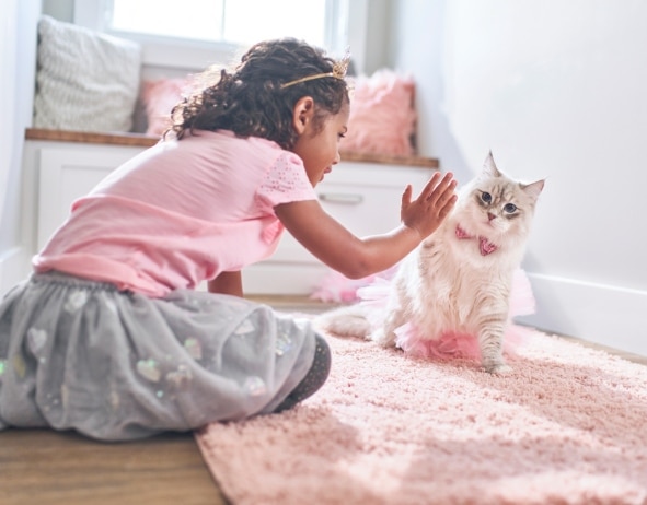 Младо момиче играе с коте