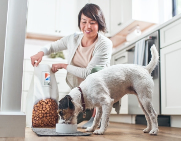 Куче яде храна на Hill's