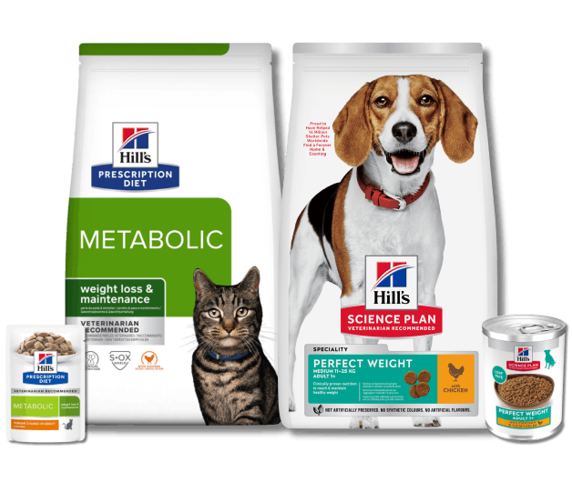 Metabolic Dry and Perfect Weight Adult Cat  Dry and Wet Food