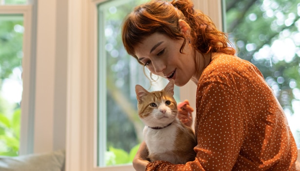 Кафяво-бяла котка, седнала в скута на жена