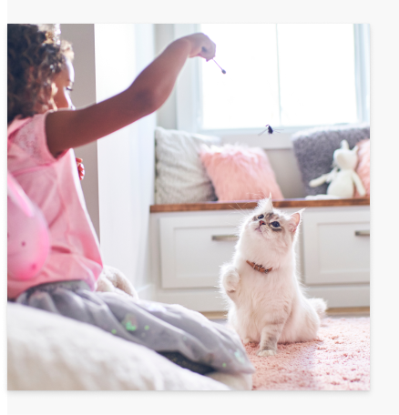 Котка, която яде храна