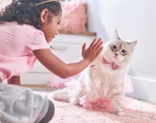 Младо момиче играе с коте