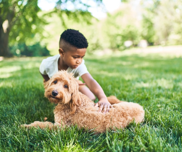 Момче с куче