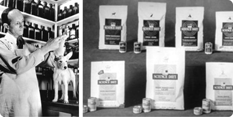 Д-р Марк Морис младши работи с домашен любимец