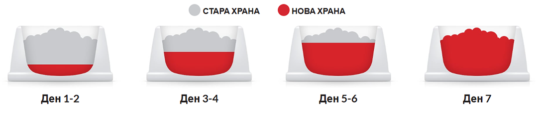 Hill's food transition
