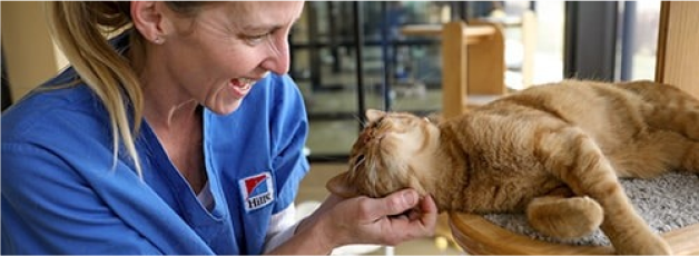 Hill's Pet служител, лежащ в тревата с куче